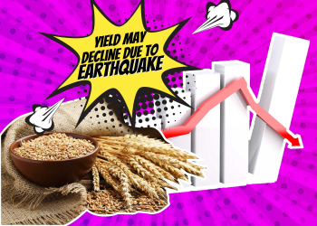 Yield-May-Decline-Due-To-Earthquake