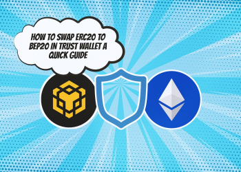 Now You Know How to Swap ERC20 to BEP20 in Trust Wallet