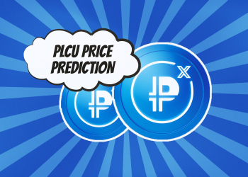 Factors Affecting the Price of PLCU