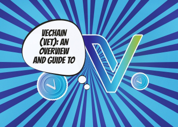 Who Are The Founders Of VeChain (VET)?