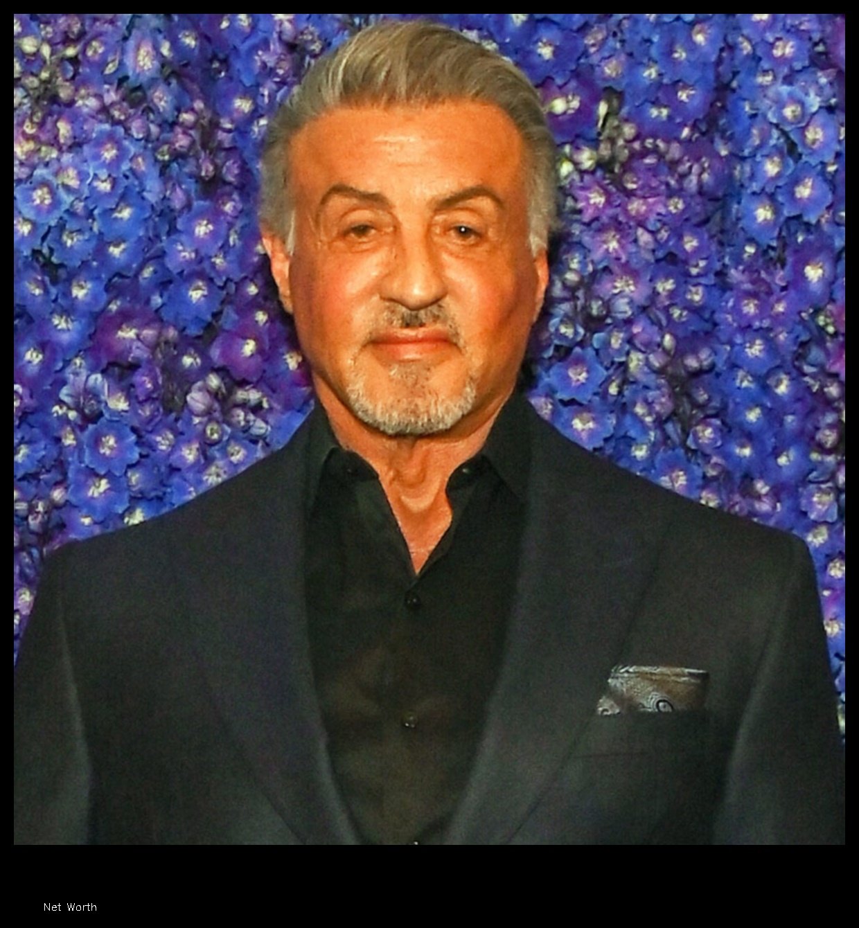 Sylvester Stallone Net Worth A Look at the Life and Career of One of