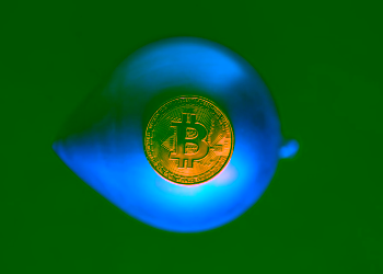 Massive Bitcoin Moves: BTC Whales Accumulation Reaches New Heights