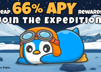 Arctic Pablo Presale
