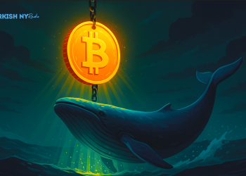 Bitcoin market BTC price