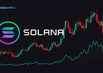 Solana NFT platform news