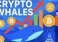 Whales Moved Over $1.5 Billion in Crypto This Week—Key Coins and Patterns Identified