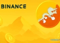 Binance Pay in Buthan