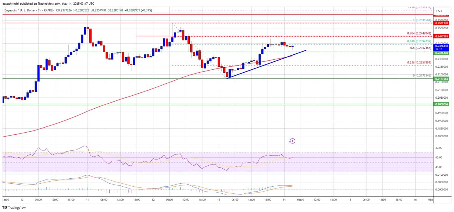 Dogecoin DOGE Price Analysis