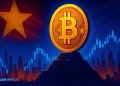 Crypto Assets
