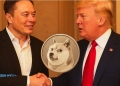Dogecoin price today