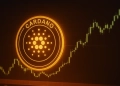 Cardano Balina Birikimi 2020’den Bu Yana En Yüksek Seviyeye Ulaştı