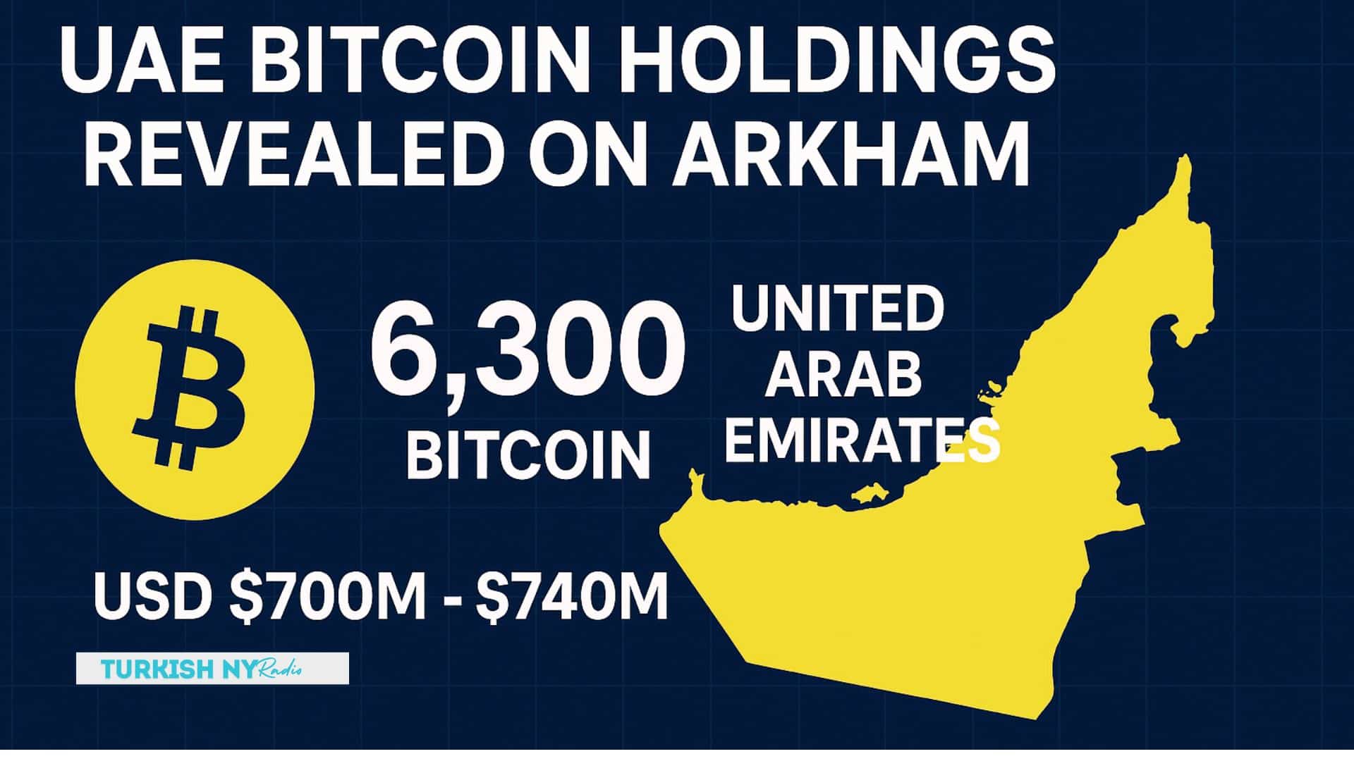  UAE Bitcoin holdings