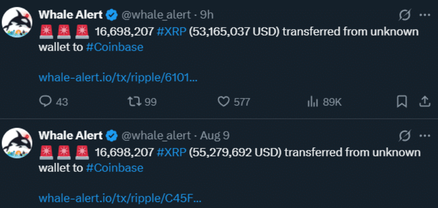 XRP whales movement