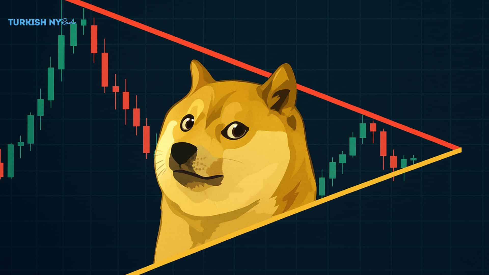 Dogecoin price