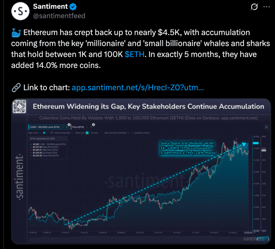 Ethereum Whale Accumulation in 2025