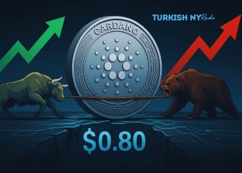 Cardano price