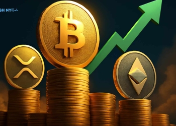 Bitcoin Recovery Rally