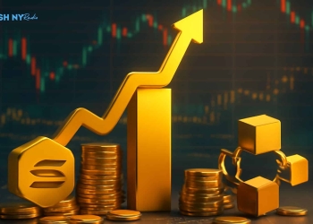 Solana Blockchain Growth