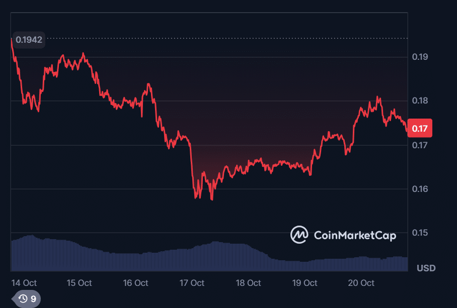 Hedera Network Information