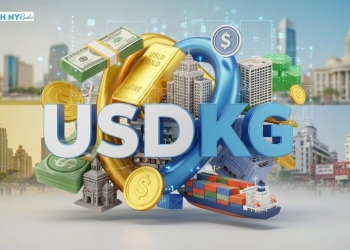Why Kyrgyzstan’s USDKG Stablecoin Is Backed by Gold, Not Banks 15 Why Kyrgyzstan’s USDKG Stablecoin Is Backed by Gold, Not Banks
