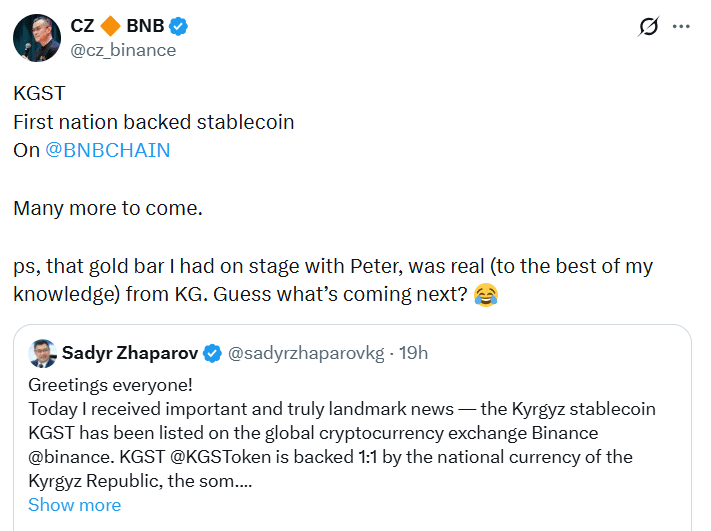 Kyrgyzstan Stablecoin