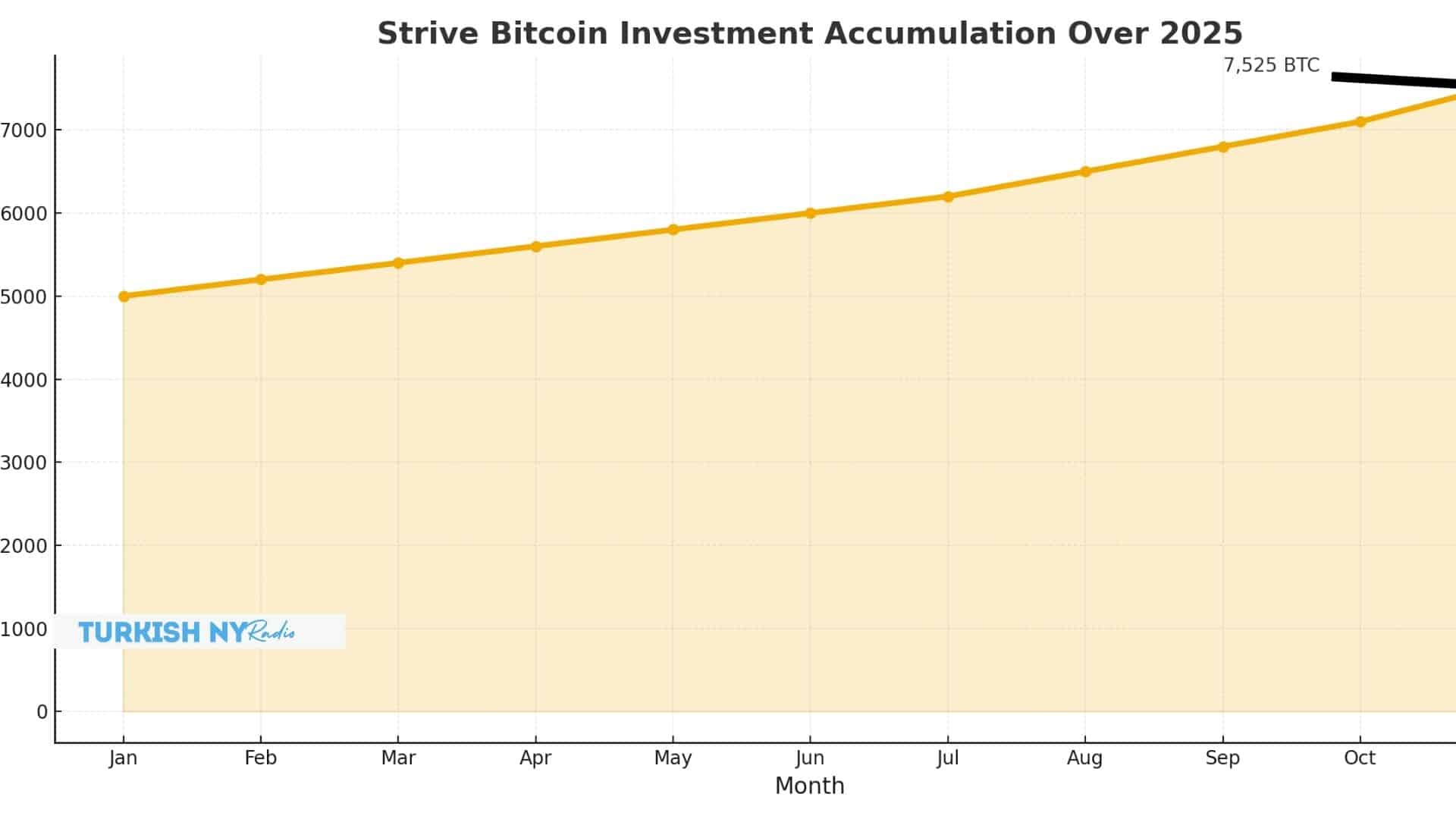 Strive Accelerates Bitcoin Accumulation With $500 Million Preferred Stock Offering 7 Bitcoin accumulation strategy