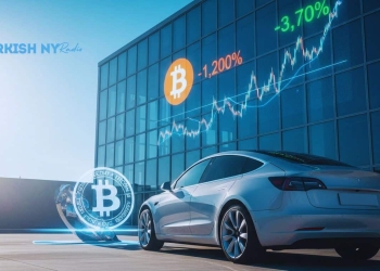 Tesla Bitcoin holdings