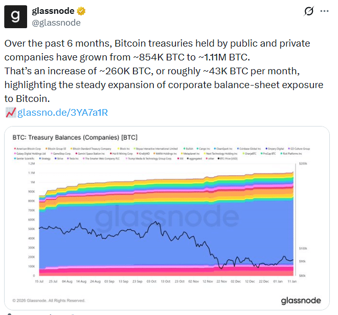 Bitcoin Treasuries Data