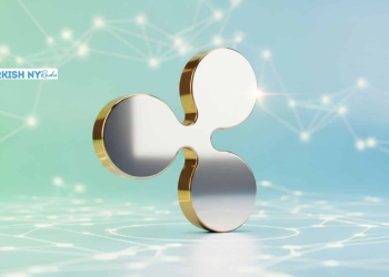 What is XRP Token?